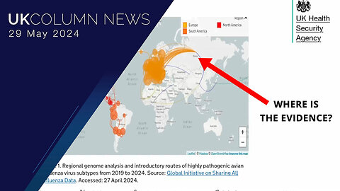 Dust Off The Swine Flu (2009) Playbook, It’s Bird Flu Time - UK Column News
