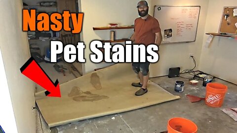 Replace Nasty Basement Carpet With Beautiful Clean Tile | Start To Finish | THE HANDYMAN