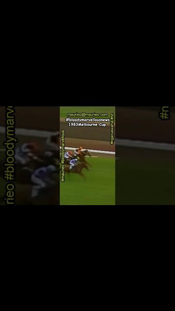 #maurieo #shorts KIWI TRIUMPHS