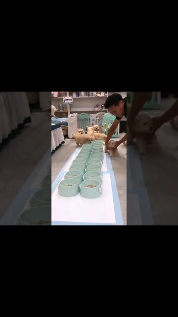 HOW TO MAKE HEALTH AND FITNESS A LIFESTYLE