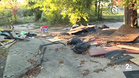 Crews clean up vacant lots along North Carlton Street