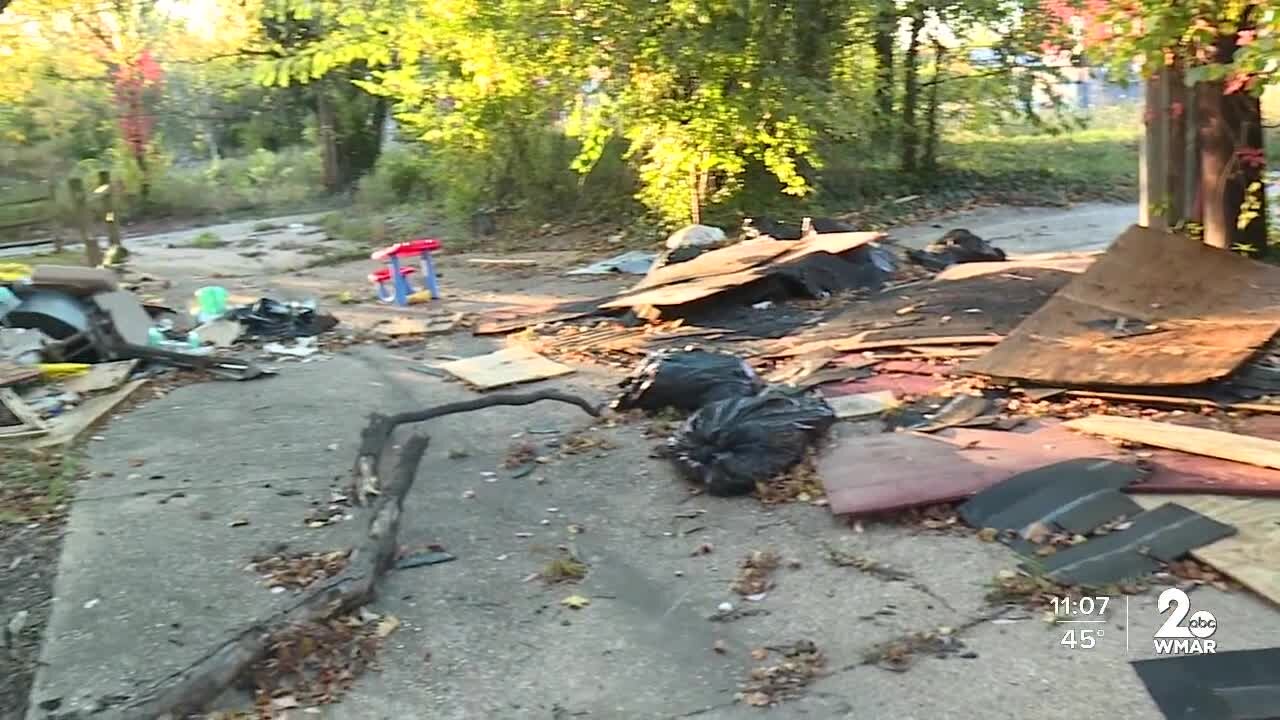 Crews clean up vacant lots along North Carlton Street