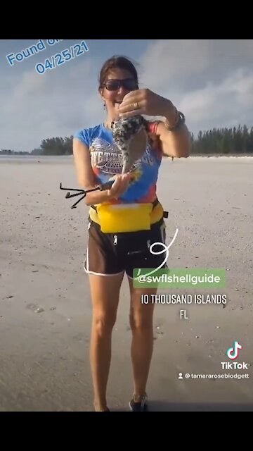 This was such fun. Hubs cleaned this up and it’s perfect 🤩