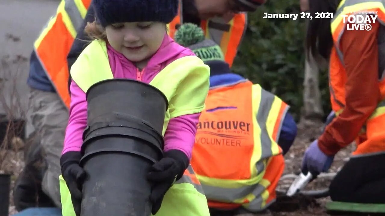 Vancouver surpasses 2020 Tree-Planting challenge