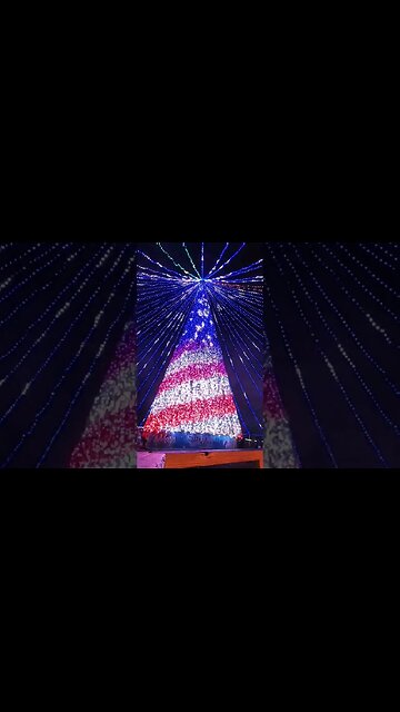 Washington DC Christmas Lights show (part 2) #loveyourjourney #christmas #washingtondc #blessed