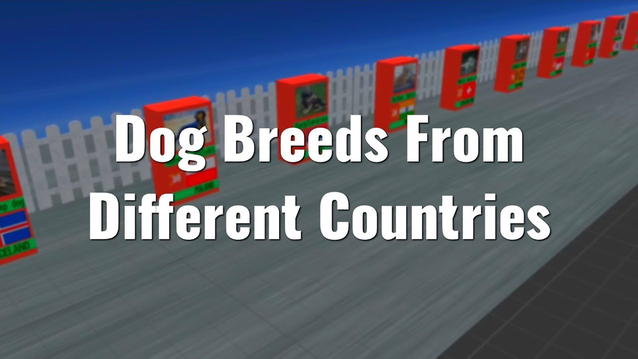 DOG BREEDS FROM DIFFERENT COUNTRIES