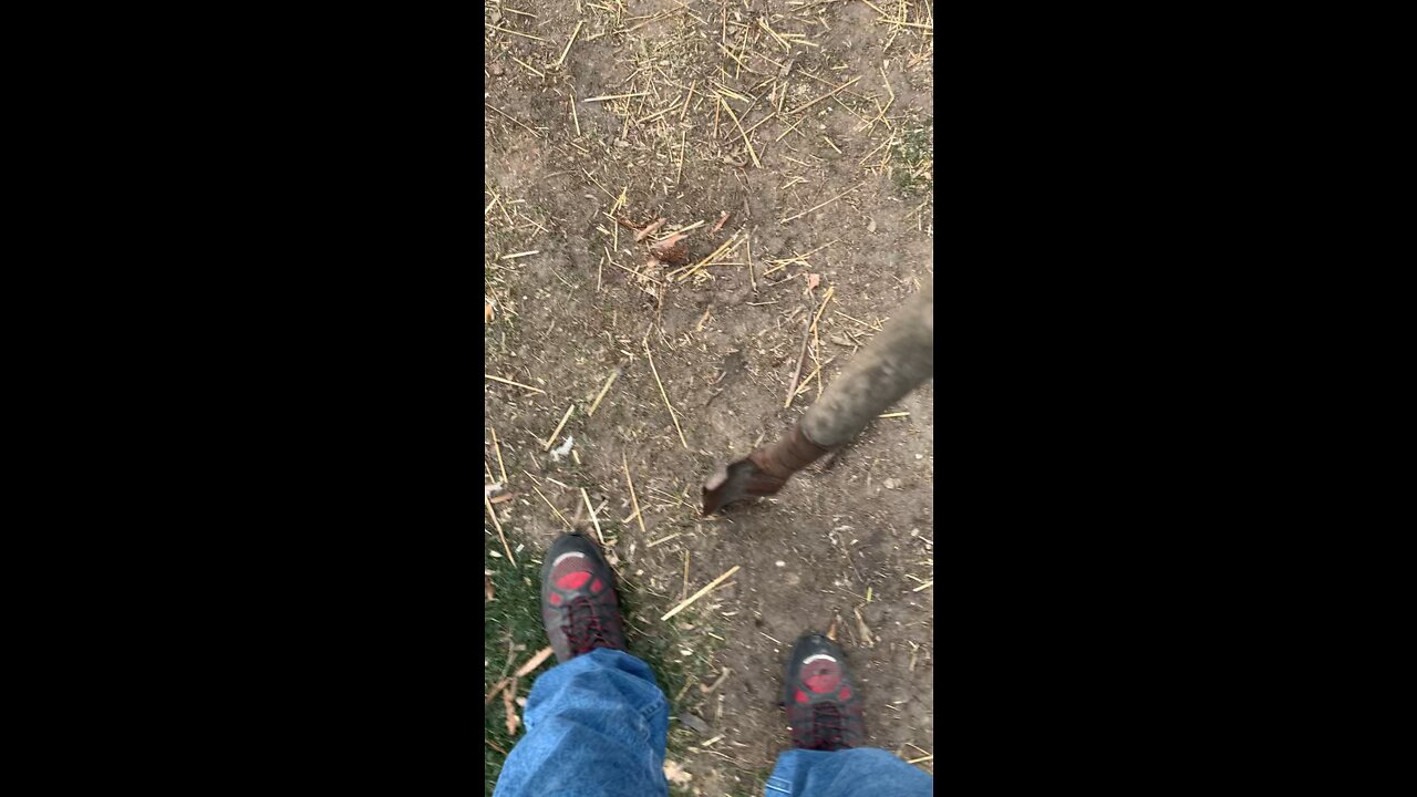 ‘Twas a noice day