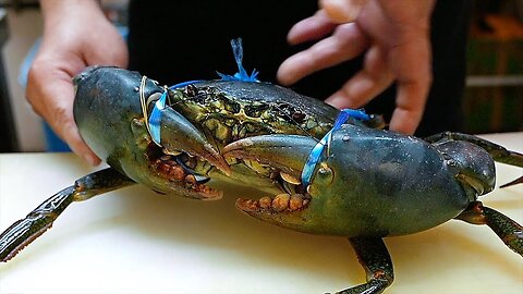 Japanese Street Food - GIANT MUD CRABS Crab Dumplings Chilli Okinawa Seafood Japan