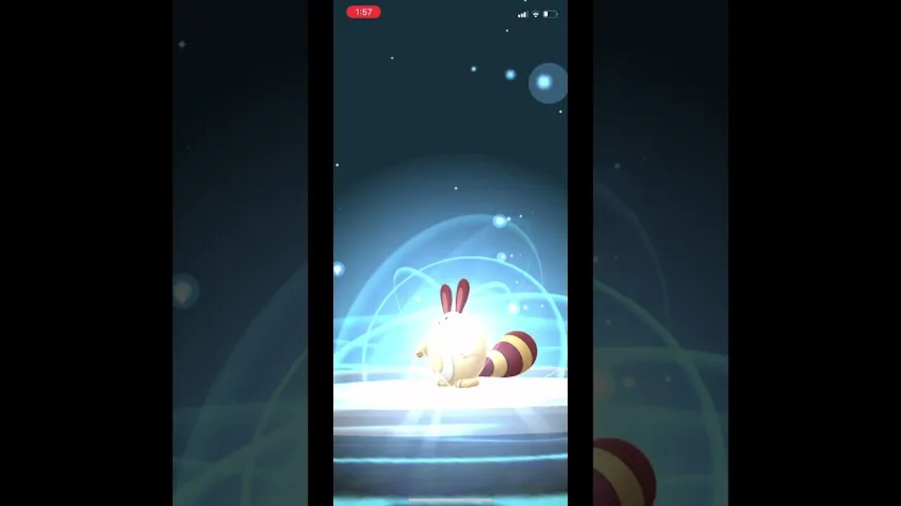 Pokémon Go - Evolving Shiny Sentret Into Shiny Furret #Shorts