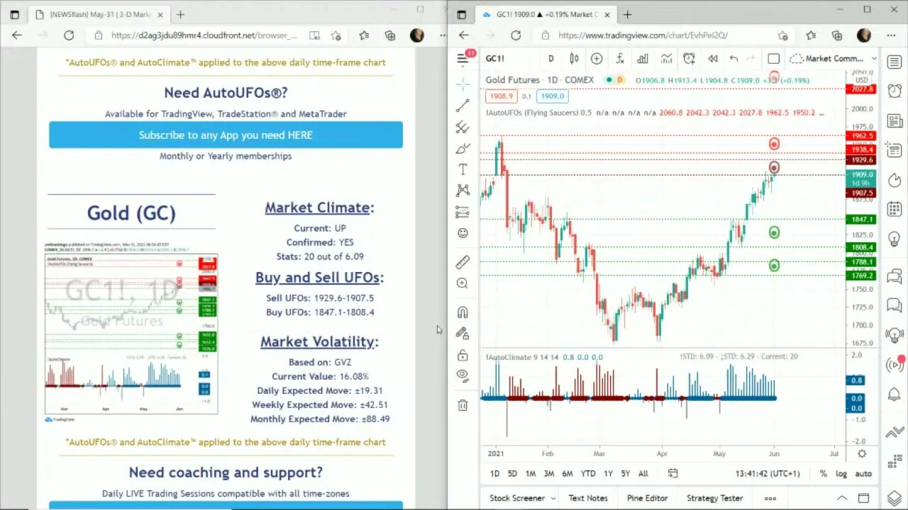 AutoUFOs 3-D Market Commentary (Becky Hayman) 2021 May-31