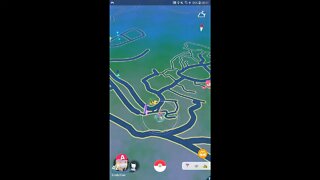 Live Pokémon GO - Dia Comunitário de Oshawott