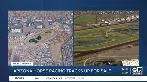 Arizona horse racing tracks up for sale