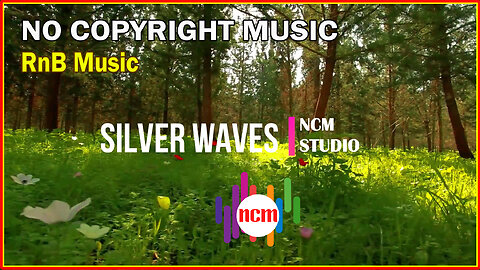 Silver Waves - TrackTribe: RnB Music, Soul Music, Chill Music, Calm Music @NCMstudio18 ​