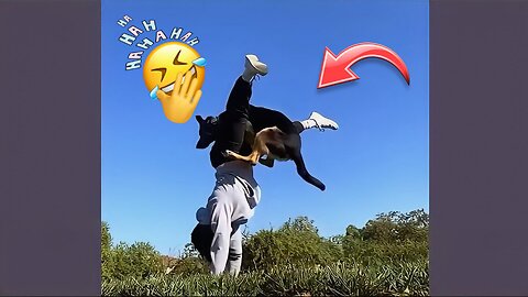 Dog & Cat Funny Video 🤣 ( NOT TO LAUGH CHALLENGE )