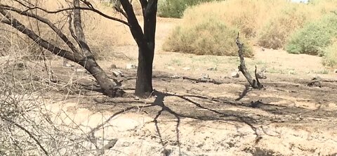 Wetlands Park fire danger high