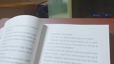 폭풍의 언덕, 에밀리브론테, 김정아, 캐서린 린턴, 언쇼, 런던, 아이, 손목, 히스클리프, 하인, 질라