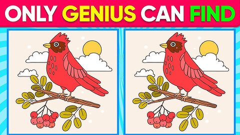 Find Difference in Picture Game - Easy levels find 7 Difference in Two Pictures