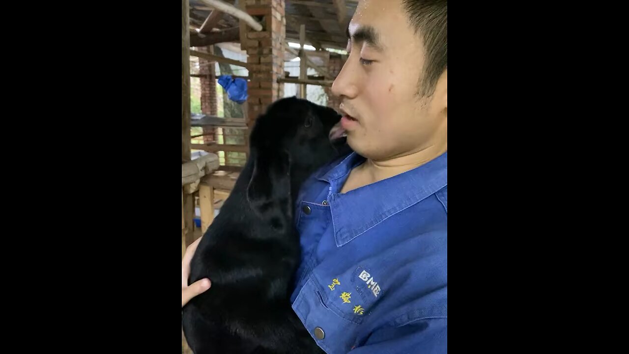 Beautiful goat 🐐