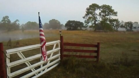 Foggy Morning. Saturday 7/16/22 Venus Ranch. Venus, Florida