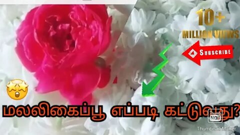 மலலிகைப்பூ எப்படி கட்டுவது?