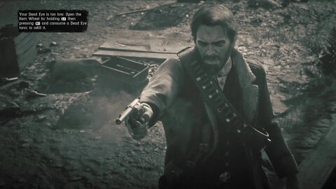 Red Dead Redemption 2 Evil Part 75-City's Most Wented