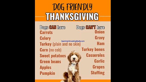 Dog Safe Thanksgiving 🐶🍗