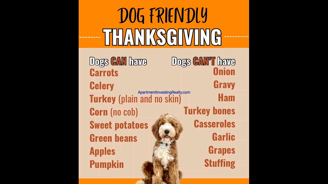 Dog Safe Thanksgiving 🐶🍗