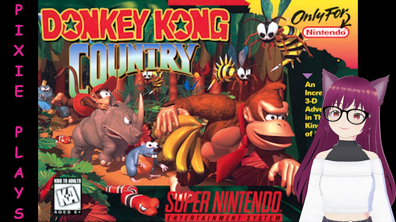 Pixie Plays Donkey Kong Country Part 1