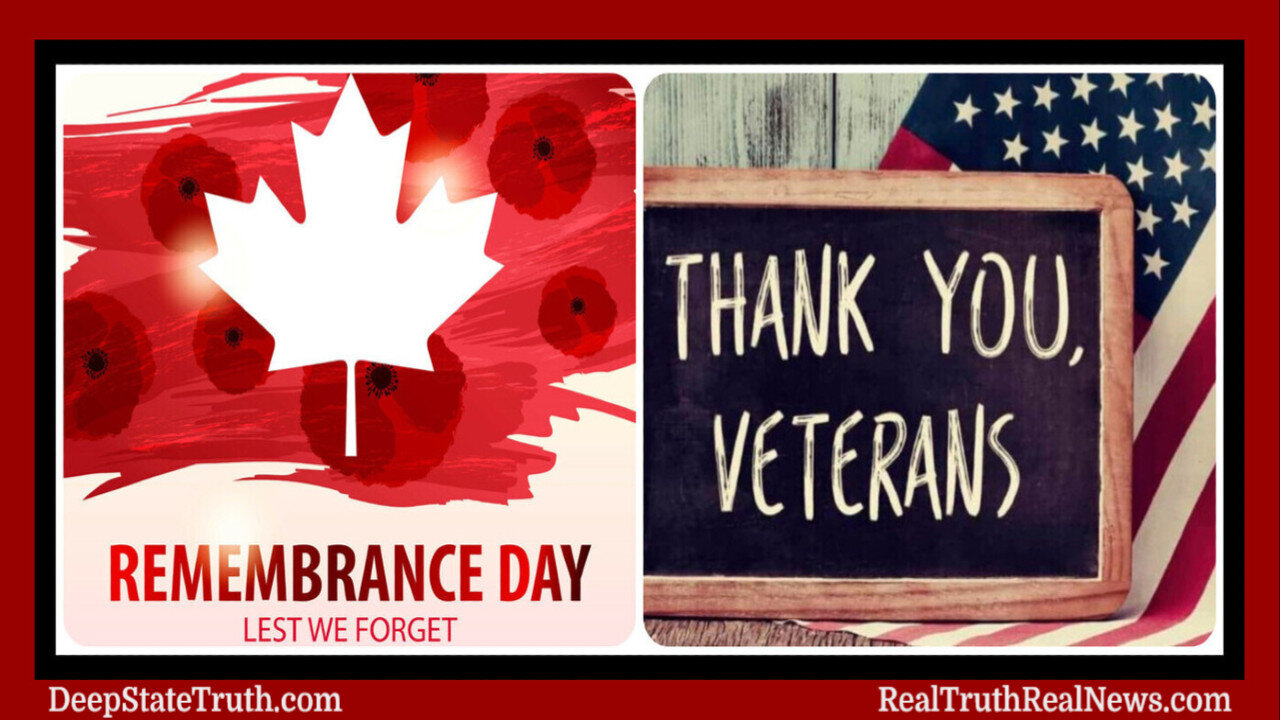 🎖️ 🇨🇦 🇺🇸 Remembrance Day/Veterans Day 2024 ⭐ A Poignant Reminder of the Sacrifices Made For Our Freedoms