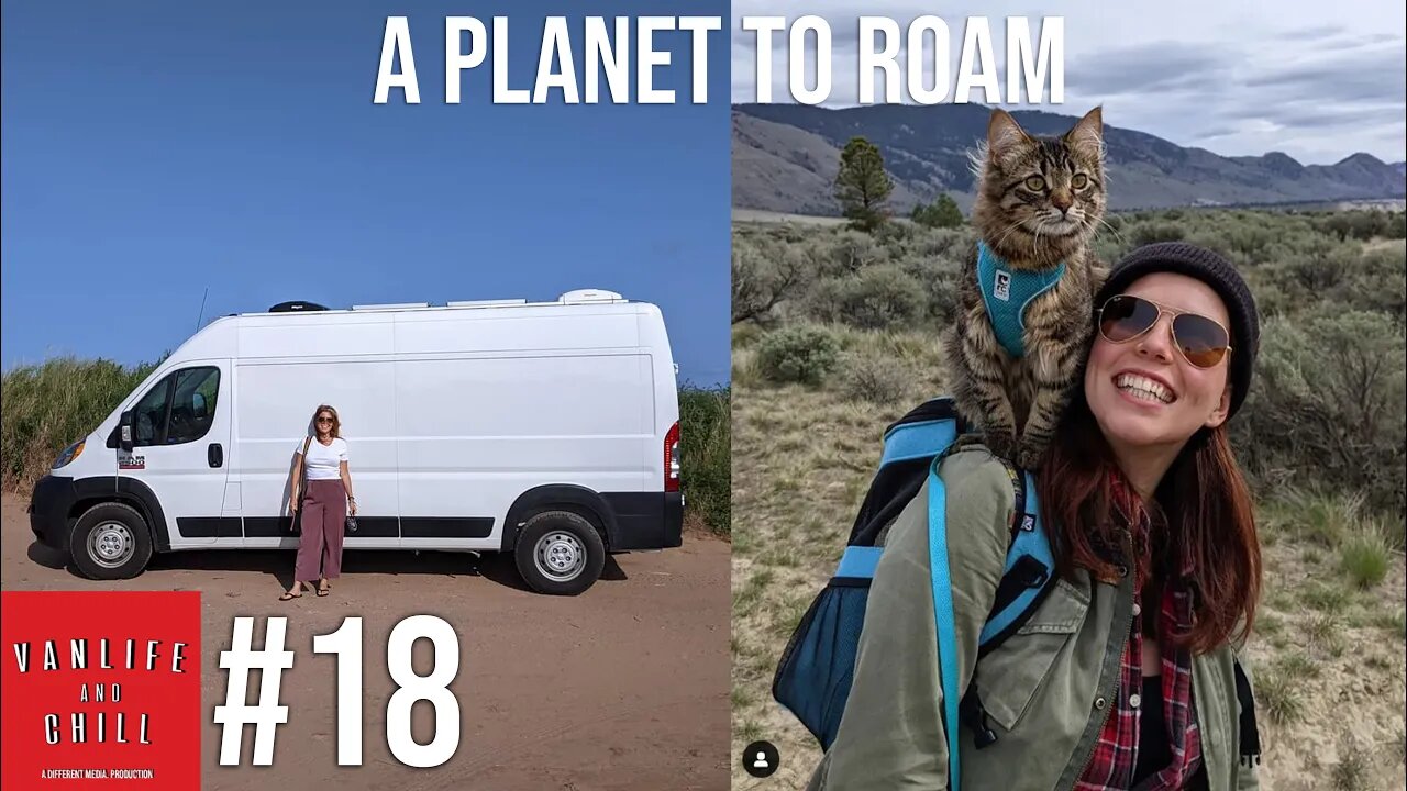 #18 - Van Life with 2 cats! | Vanlife and chill podcast