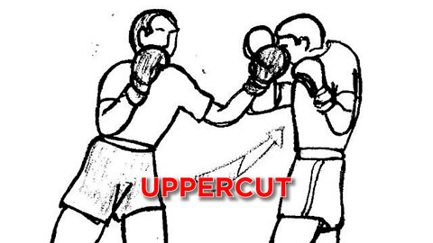 BEST UPPERCUT