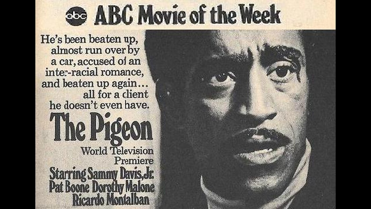 THE PIGEON 1969 TV Movie - Private Eye Hired to Locate a Girl Who's Hiding for Good Reason FULL MOVIE