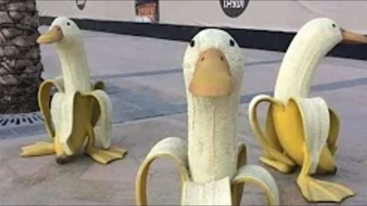 Videos I found on Reddit #8