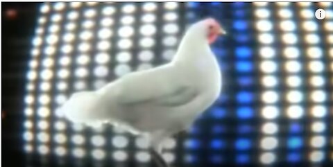 Enjoy Chicken Song