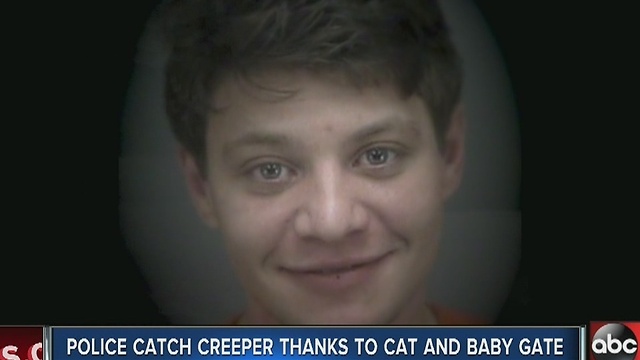 Burglar breaks into St. Pete momâs home to pet the family cat