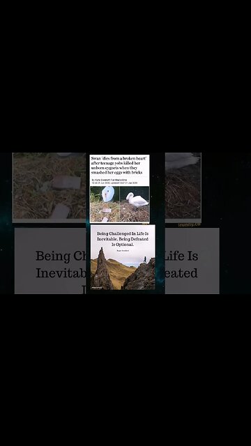 Random pictures #shorts #viral #trending #memes #motivation #smallyoutuber #funny #sad #gaming