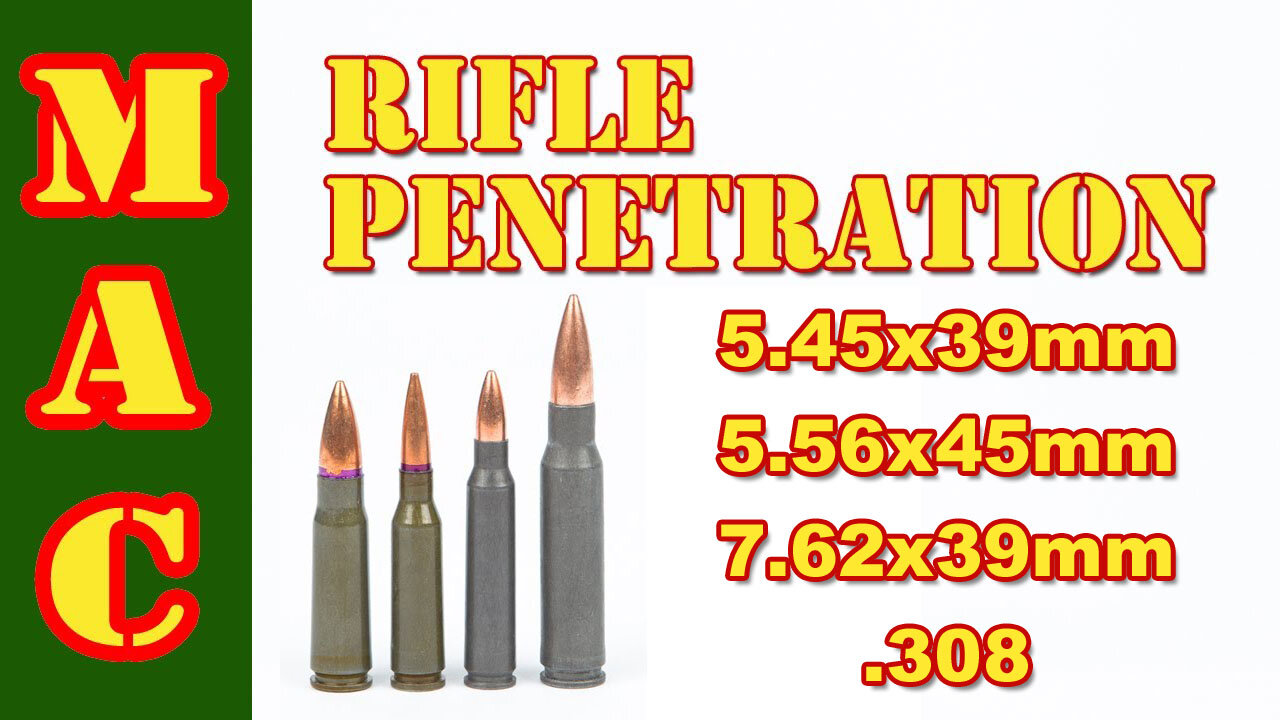 Rifle Penetration Test on Trees: 5.45x39mm vs 5.56x45mm vs 7.62x39mm vs .308 🌳💥🔫