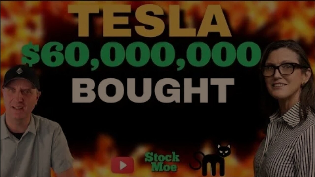 🤑🤑$60,000,000 WORTH OF TESLA STOCK BOUGHT! HOW TO INVEST 2024 {TESLA STOCK PRICE PREDICTION}