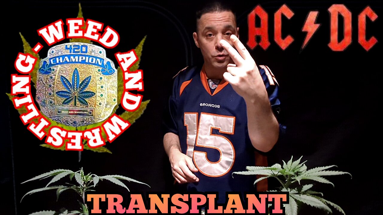 Growing Cannabis: "Transplanting Marijuana" 'AC-DC' / 'Charlottes Web' Strain | 'Weed And Wrestling'