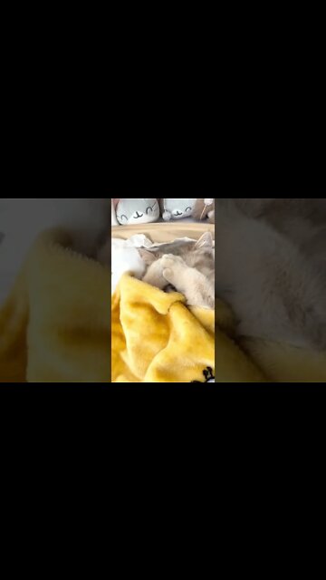 She doesn’t want to get up 😴🤣