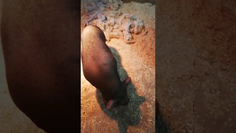 Owww! Low Bridge 😂