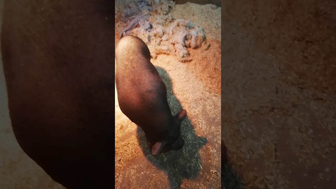 Owww! Low Bridge 😂