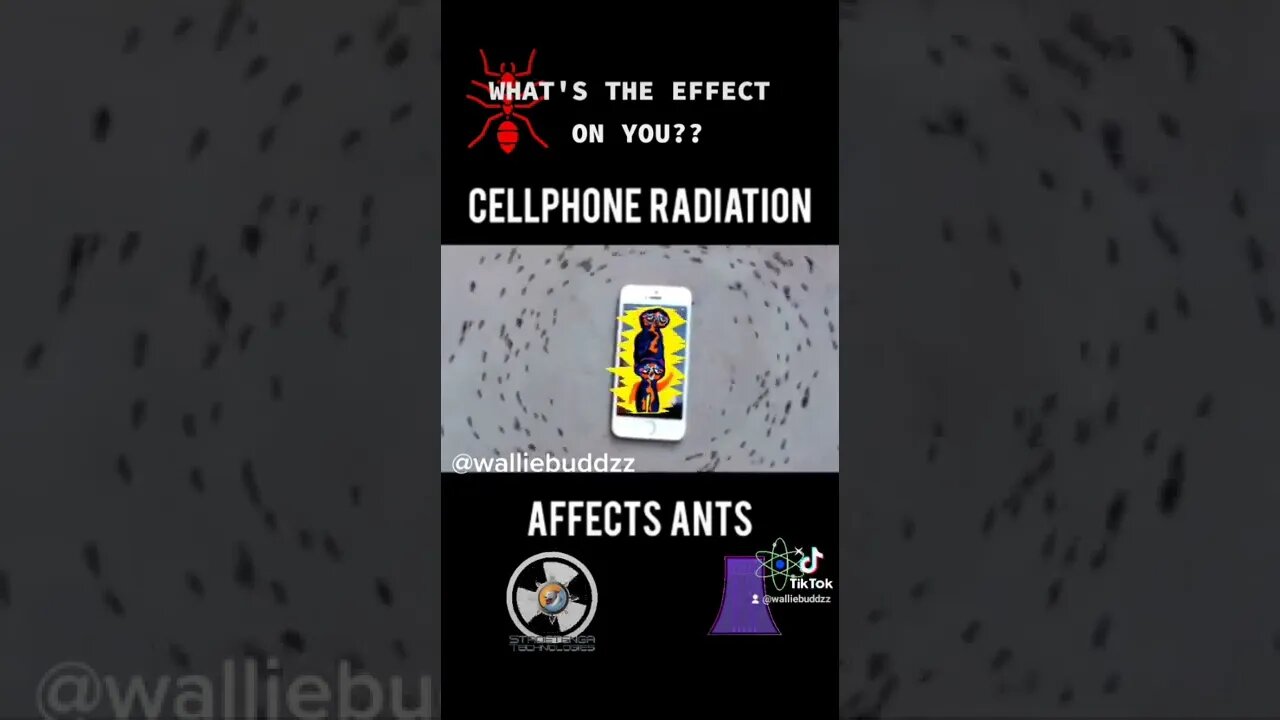 Cellphone Radiation affecting ants