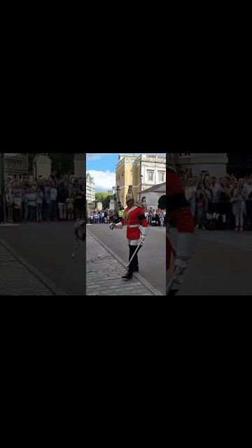 The kings guard inspection #horseguardsparade