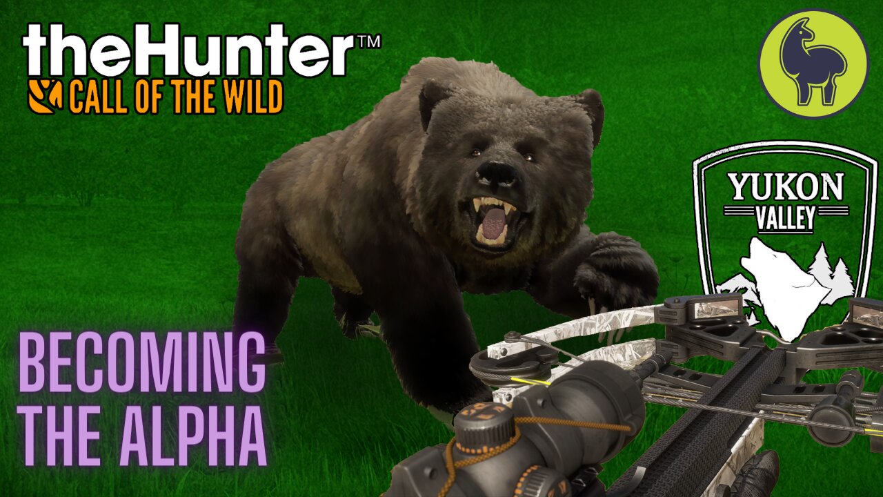 Becoming the Alpha, Yukon Valley | theHunter: Call of the Wild (PS5 4K)