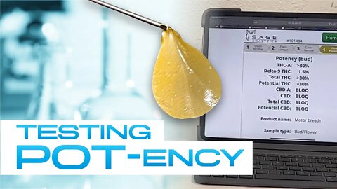 TESTING POTENCY - Testing strain Potency Rosin VS Flower