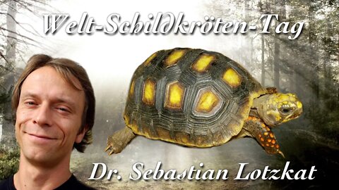 Schöne Schildkröten - Dr. Sebastian Lotzkat