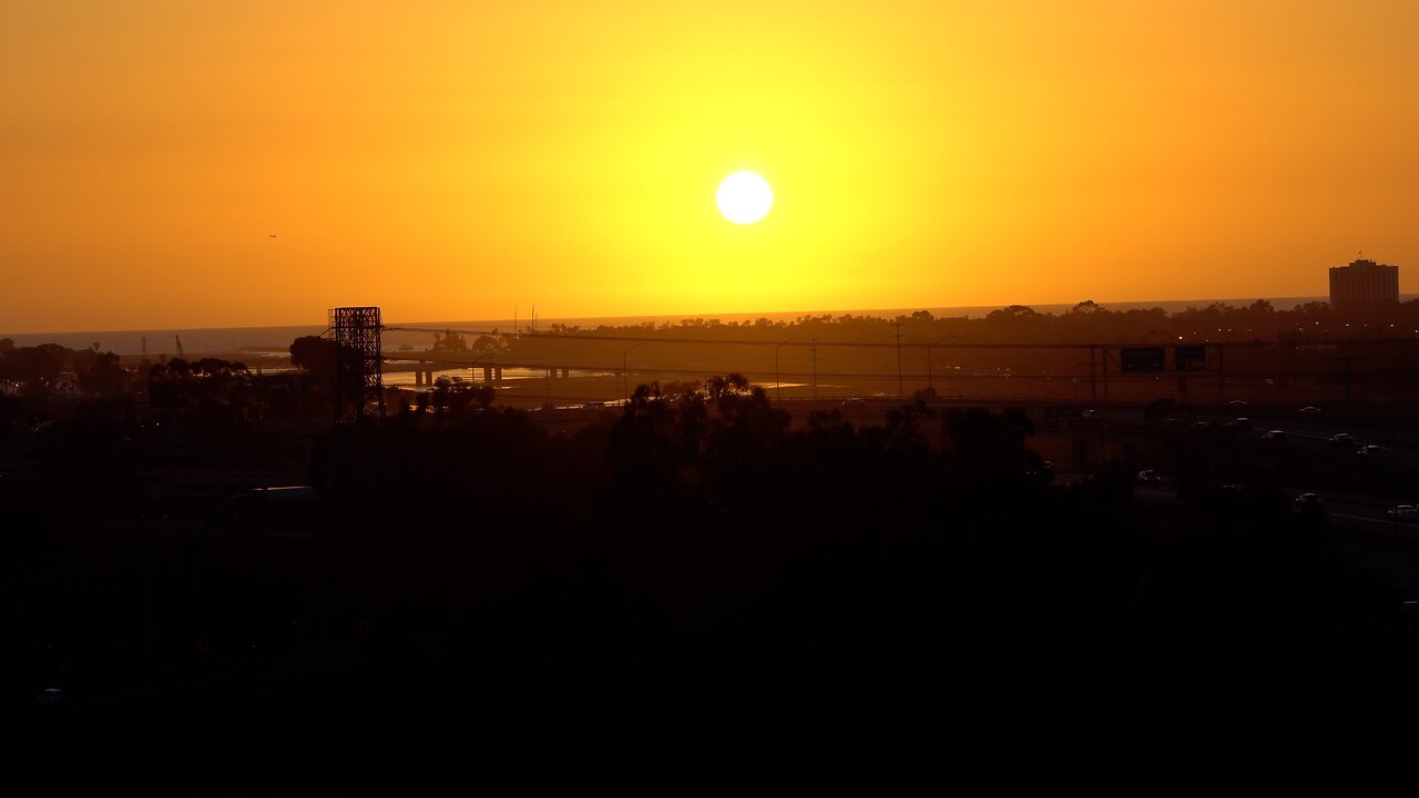 CatSet: Sunset at Presidio Park. Take Your Cat to Presidio Park, San Diego!