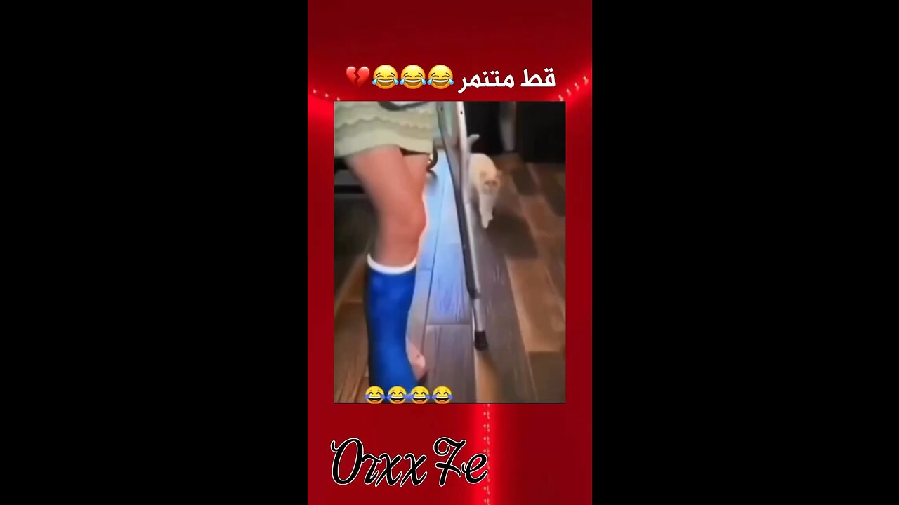 🤣🤣🤣
