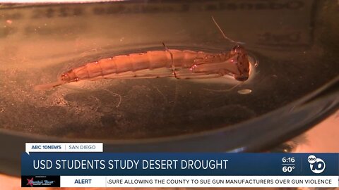 USD students study drought's impact on desert ecosystem